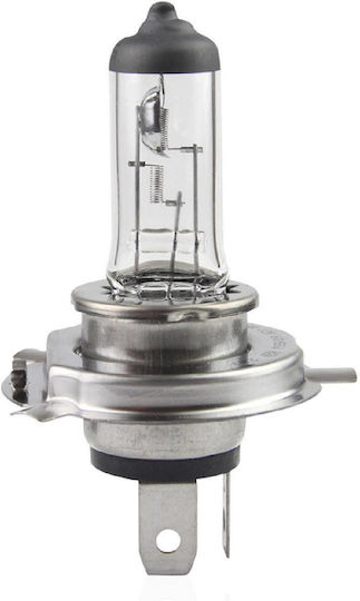Moje Auto Lampen Auto H4 Halogen 12V 1Stück
