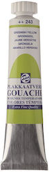 Royal Talens Extra Fine Tempera Paints 243 Gree...