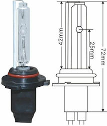 Lampen Auto HIR2-9012 Xenon 6000K Kaltes Weiß 1Stück