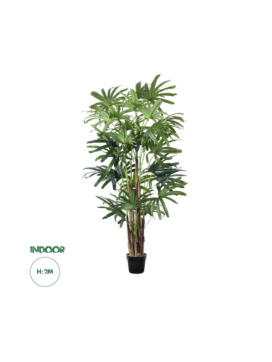 GloboStar Διακοσμητικό Τεχνητό Φυτό Φοίνικας Artificial Garden BROADLEAF LADY PALM TREE Πράσινο