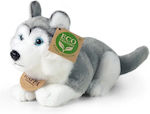 Plush Dog Husky 17 cm