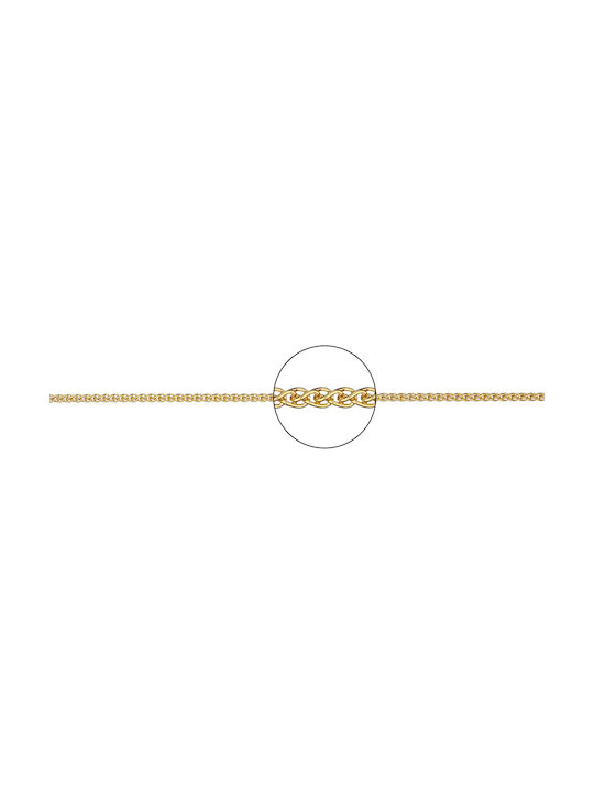 Kette Speiche Rund n1 Gold, 50cm