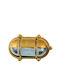 Lido Wall-Mounted Outdoor Turtle Light E27 IP64