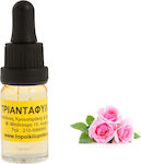 Rose Aromatic Oil 10ml