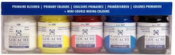 Royal Talens Extra Fine Tempera Colour Paint Jar 50ml Multicolour 5pcs