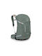 Osprey Hikelite 28 Bergsteigerrucksack 28Es Pine Leaf