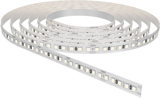 Braytron LED-Streifen 24V Natürliches Weiß Licht 5m Typ SMD5050