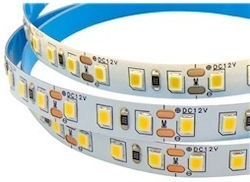 Wellmax Ταινία LED 12V Φυσικό Λευκό 1m