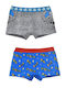 Children's boxer set 'Paw Patrol' blue-grey Nickelodeon for boys (4-8 years old) 2 pcs.