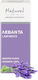 HealthTrade Αιθέριο Έλαιο Λεβάντα 10ml