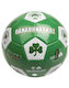 Panathinaikos Παιδική Μπάλα Ποδοσφαίρου Πράσινη 13εκ.