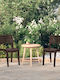 Scaun de exterior Polipropilenă Maro 2buc 50x51x82cm