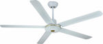 Ceiling Fans