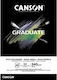 Canson Μπλοκ Σχεδίου Graduate A4 21x29.7cm 20 Φ...