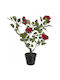Plantă Artificială în Ghiveci Trandafir Red 66cm Bizzotto