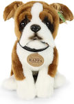 Rappa Plush Dog 27 cm