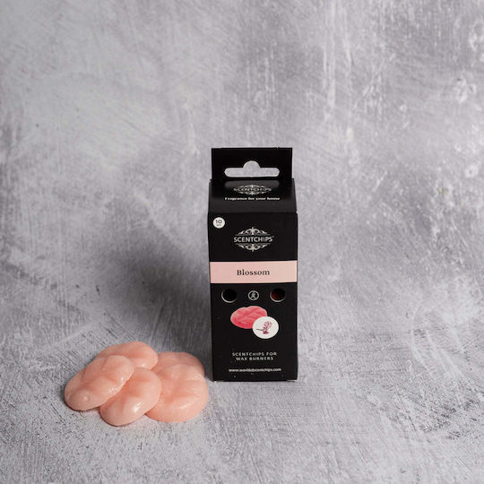 Scentchips Fragrance Wax Melt 270008S 10pcs