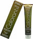 Imel Olive Spa Hair Dye 8.33 Intense Light Gold...