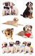 bsb Dog Stickers