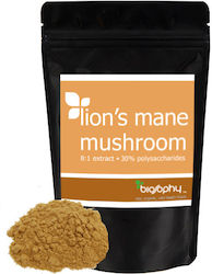 Biosophy Bio Lion's Mane sub formă de Pulbere 50gr Biosophy Bio Lion's Mane sub formă de Pulbere 50gr