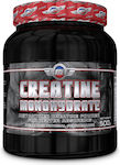 Titanium Muscle Usa Creatine Monohydrate 500gr