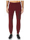Sweatpants with Elastic Burgundy