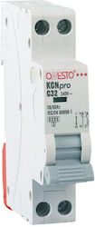 Redled Αυτόματη Ασφάλεια 16A Διπολική AC 27411