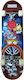 Complete Shortboard Multicolour