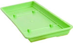 Micplast Mojito Cabbage Mojito Plastic Plate