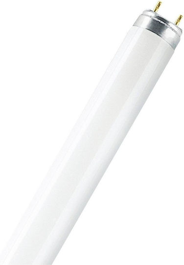 Ledvance Λάμπα Φθορίου με Σχήμα T8 30W