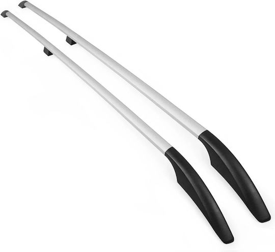 Omtec (with Roof Rack Legs) Silver