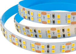 Wellmax Ταινία LED 12V Φυσικό Λευκό 1m Wellmax Ταινία LED 12V Φυσικό Λευκό 1m