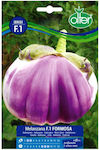 Olter F1 Formosa Seeds Aubergine