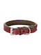 Kerbl Hundehalsband Leder in Rot Farbe