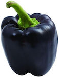 Geoponiki Seeds Peppers 1gr