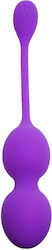 Boss Of Toys Purple