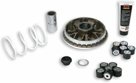 Malossi for Honda Forza 300