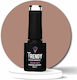 Trendy Color Cosmetics Semipermanent Lac de Unghii 067 6ml 1buc