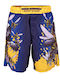 Tatami Fightwear KID-HB-V5-SH