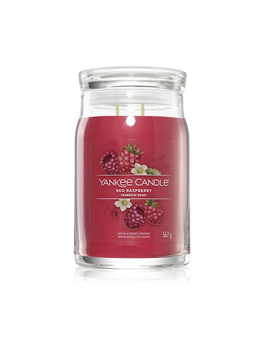 Yankee Candle Scented Candle Jar with Scent Red Raspberry Red 567gr 1pcs