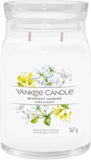 Yankee Candle Signature Aromatische Kerze in Gefäß Mitternachtsjasmin