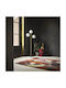 Brink & Campman 95203 Lucrat manual Covor Rectangular Multicolor