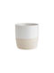 Butlers Cană Ceramică Albă 350ml