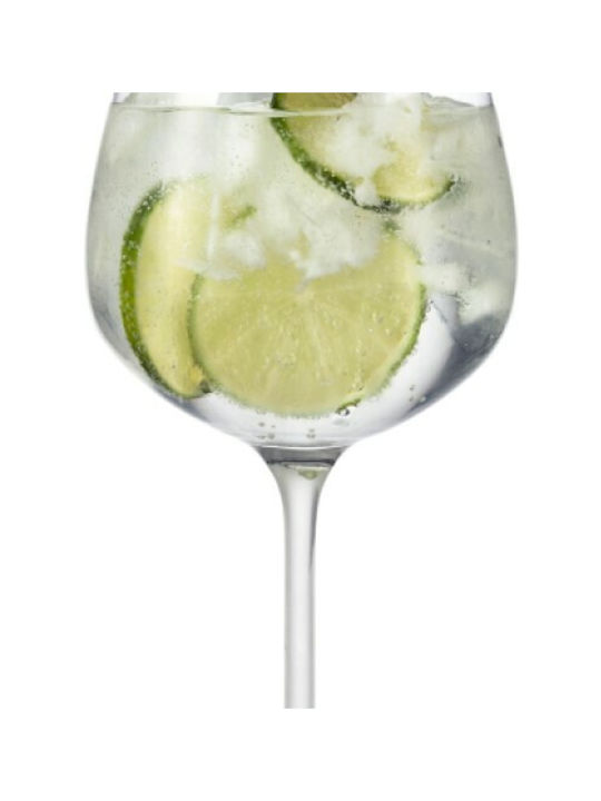 Eisch Set of Glasses Cocktail/Drinking made of Glass Stemmed 753ml 2pcs