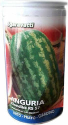 Primasem Seeds Watermelon 500gr