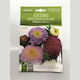 Primasem Samen Aster
