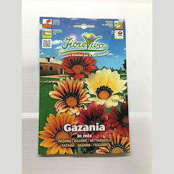 Primasem Seeds Gazania Polychrome