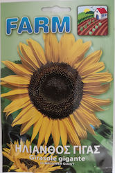 Primasem Seeds Sunflower