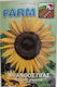 Primasem Seeds Sunflower Giant 1gr