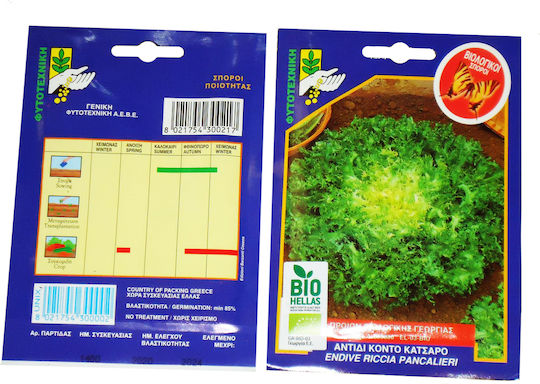 Geniki Fytotechniki Athinon Semințe Endive (Cichorium) Scurt Creț Verde Cultivare ecologică 10gr